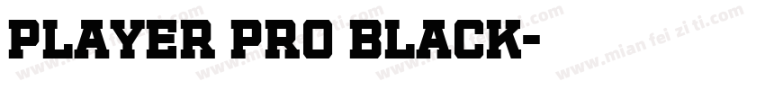 Player Pro Black字体转换